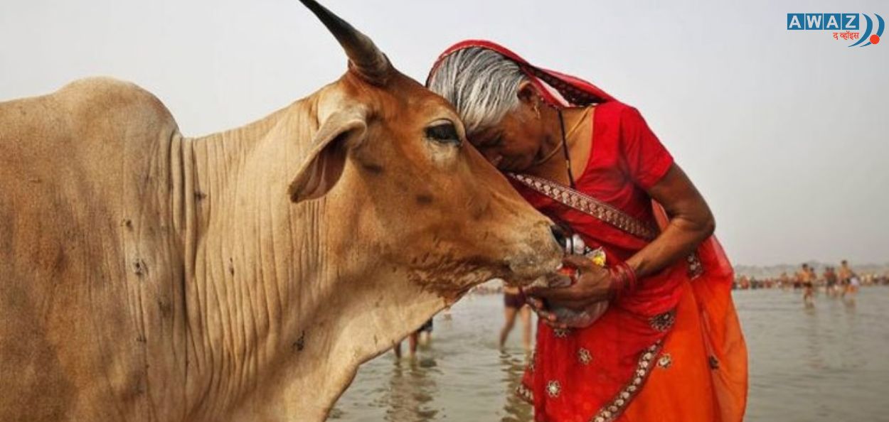 प्रातिनिधिक चित्र